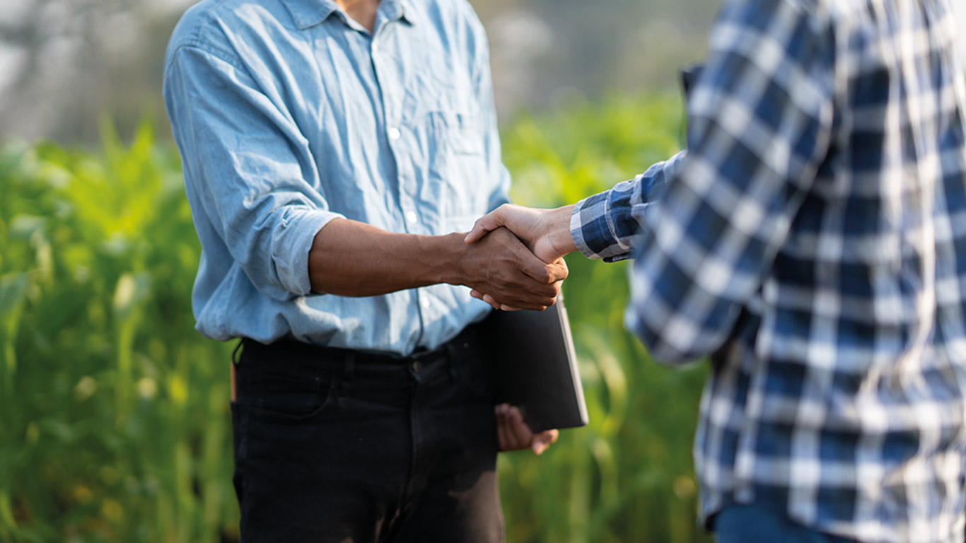 Le consultant financier est le premier à intervenir. Sa mission consiste à réaliser un examen détaillé de la situation financière de l’agriculteur insolvable. Pour ce faire, il le rencontre, effectue une visite sur place et prépare un inventaire de ses actifs ainsi qu’un état détaillé de son exploitation. Photo : Shutterstock