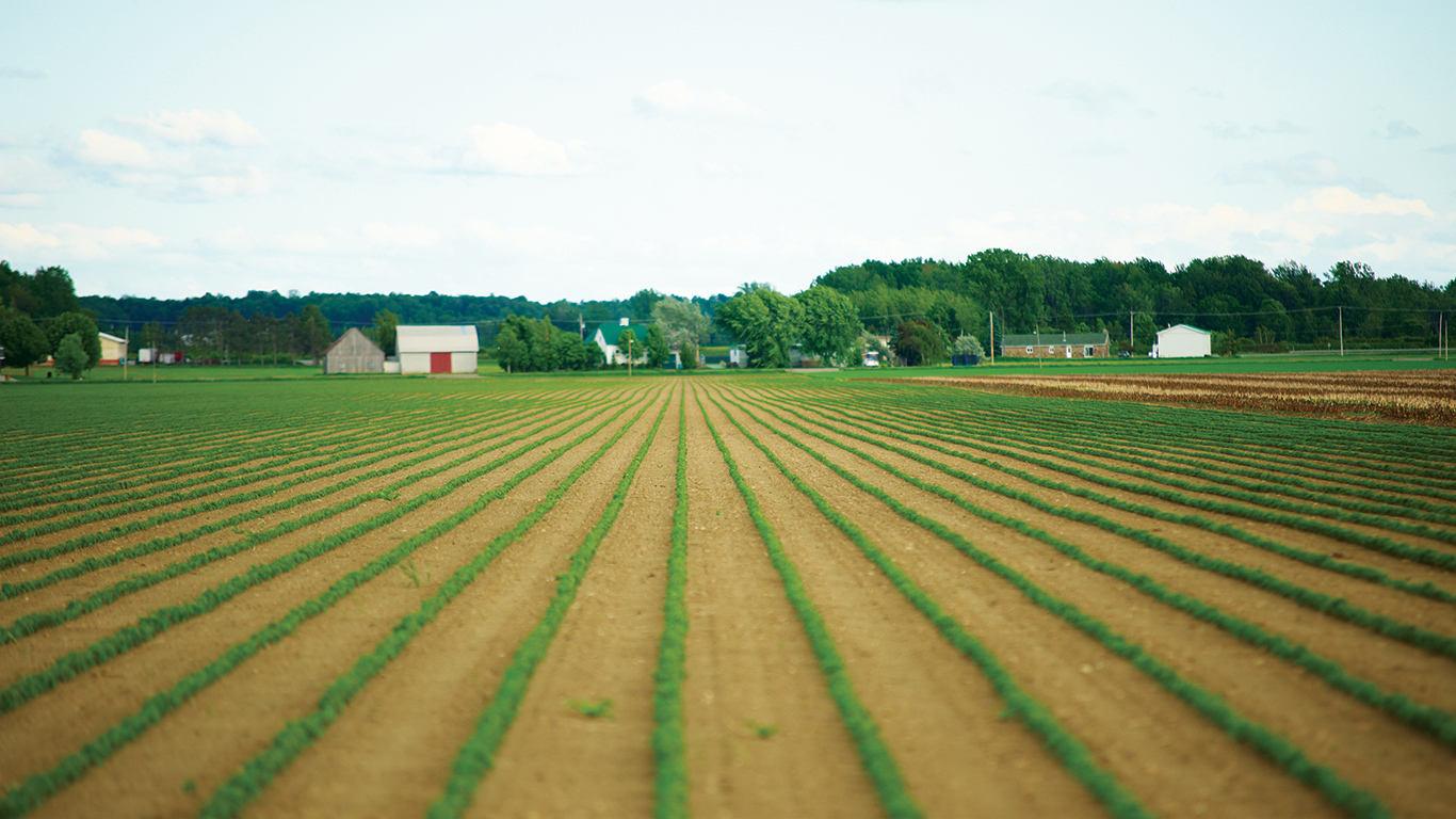 Comme le bon vin, le soya a besoin d’un bon départ pour exprimer toutes ses qualités. Photo : Archives/TCN