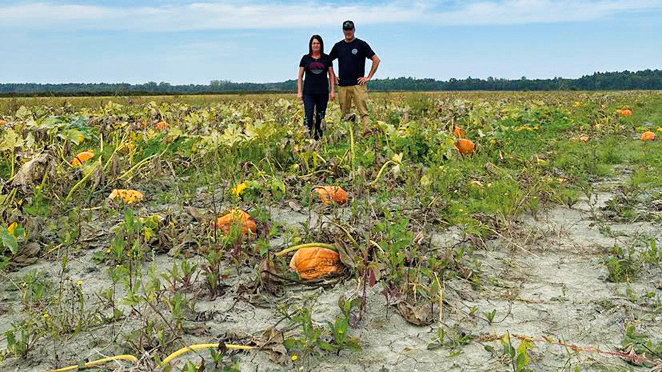 L’an dernier, Jocelyn Alarie et sa sœur Martine ont eu beaucoup de pertes. Un scénario similaire se dessine, cette saison, alors qu’ils ne prévoient récolter que 20 % de leurs courges et 45 % de leurs citrouilles. Photo : Gracieuseté de Jocelyn Alary