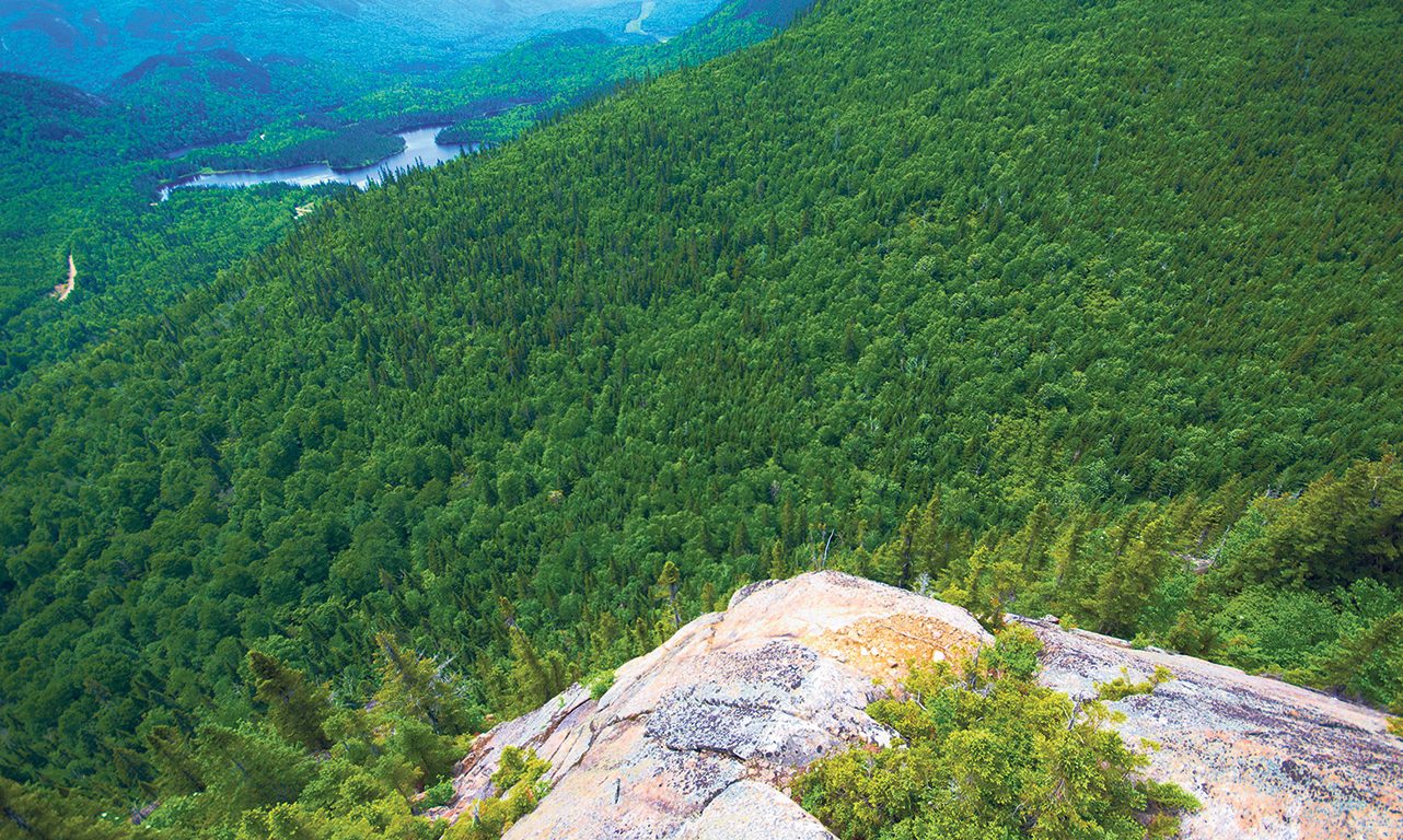 Les certifications environnementales englobent les pratiques en forêt publique, mais tardent à être adoptées en forêt privée, faute de marché rémunérateur. Photo : Martin Ménard/Archives TCN