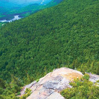 Les certifications environnementales englobent les pratiques en forêt publique, mais tardent à être adoptées en forêt privée, faute de marché rémunérateur. Photo : Martin Ménard/Archives TCN