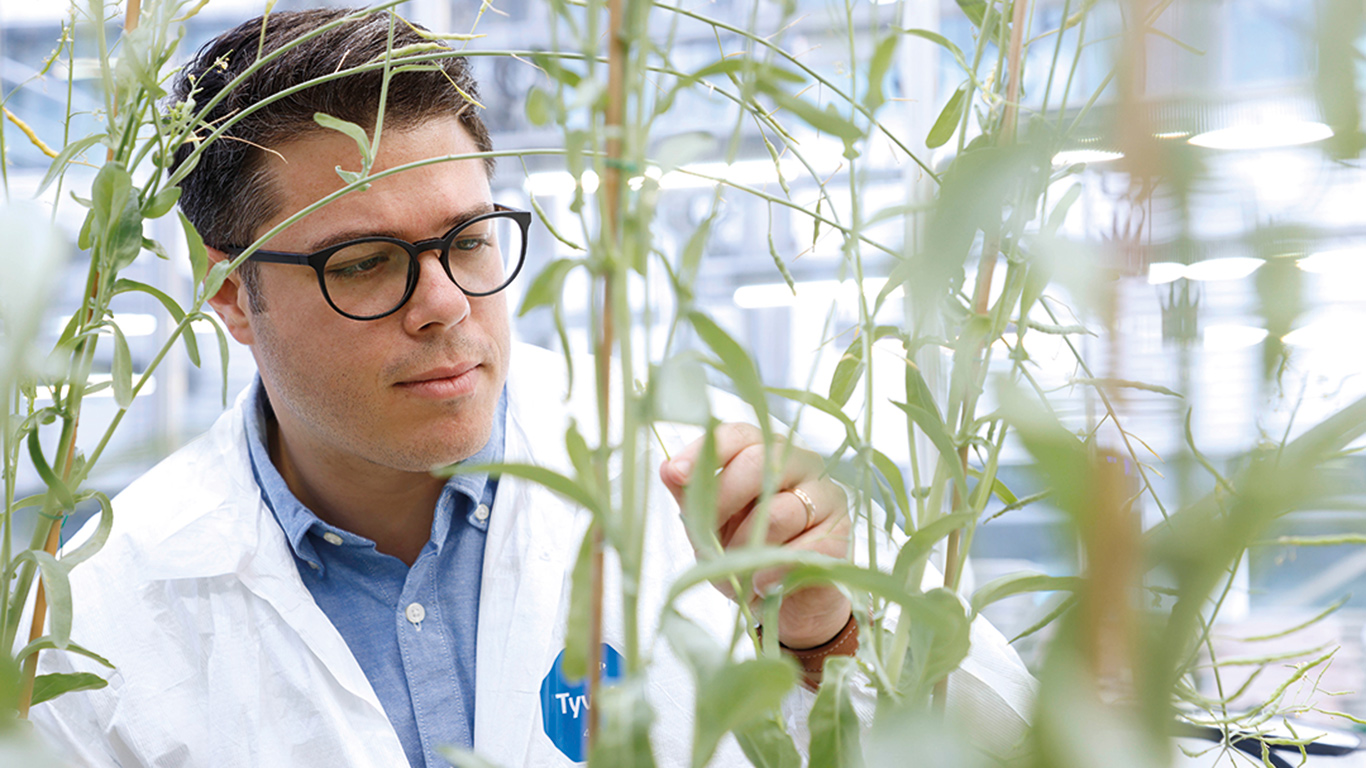 Edel Pérez-Lopez, professeur et chercheur à l’Université Laval, tente de trouver différentes méthodes pour éliminer la cicadelle, dont celle de modifier la composition du microbiome de l’insecte. Photo : Joseph Moisan-De Serres/MAPAQ