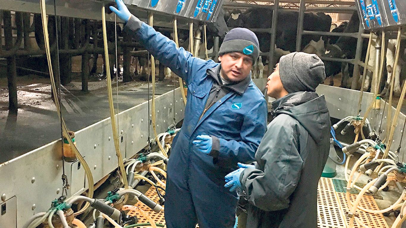 Les formations d’Omar Sandoval sont destinées spécifiquement aux travailleurs étrangers à l’embauche de fermes laitières. Photo : Gracieuseté de Lactanet