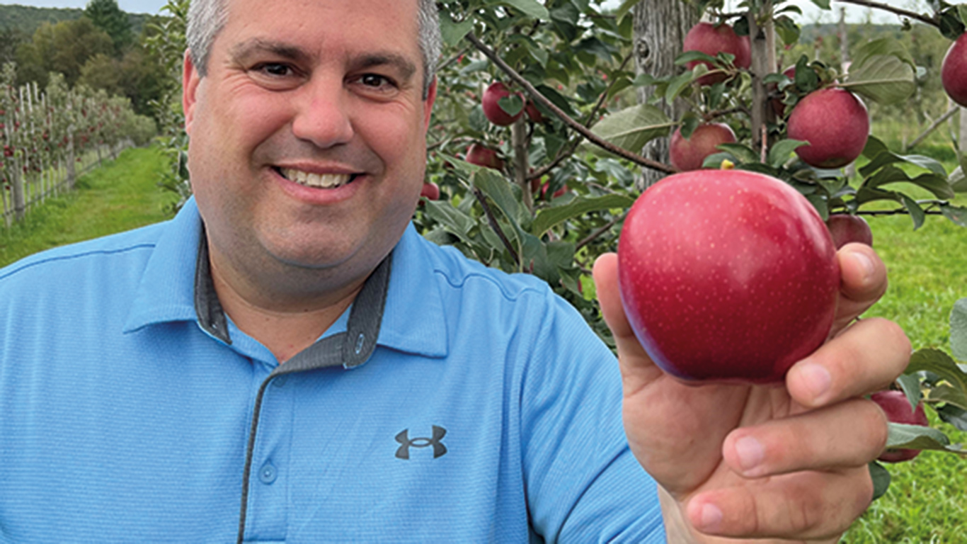 La Maison de la pomme sera l’emballeur exclusif de la pomme Orléans. Son directeur général, Jonathan Rodrigue, précise que le verger de l’entreprise compte 12 000 arbres de cette variété, dont 4 000 en production. Photo : Gracieuseté de Jonathan Rodrigue