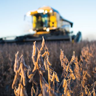 La croissance de production du diesel renouvelable aux États-Unis, produit à partir du soya américain, compense en partie sa baisse des exportations du soya. La Californie veut cependant plafonner l’utilisation de canola et de soya dans la production de diesel renouvelable. Photo : Martin Ménard/Archives TCN