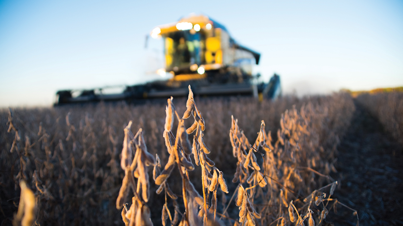 La croissance de production du diesel renouvelable aux États-Unis, produit à partir du soya américain, compense en partie sa baisse des exportations du soya. La Californie veut cependant plafonner l’utilisation de canola et de soya dans la production de diesel renouvelable. Photo : Martin Ménard/Archives TCN