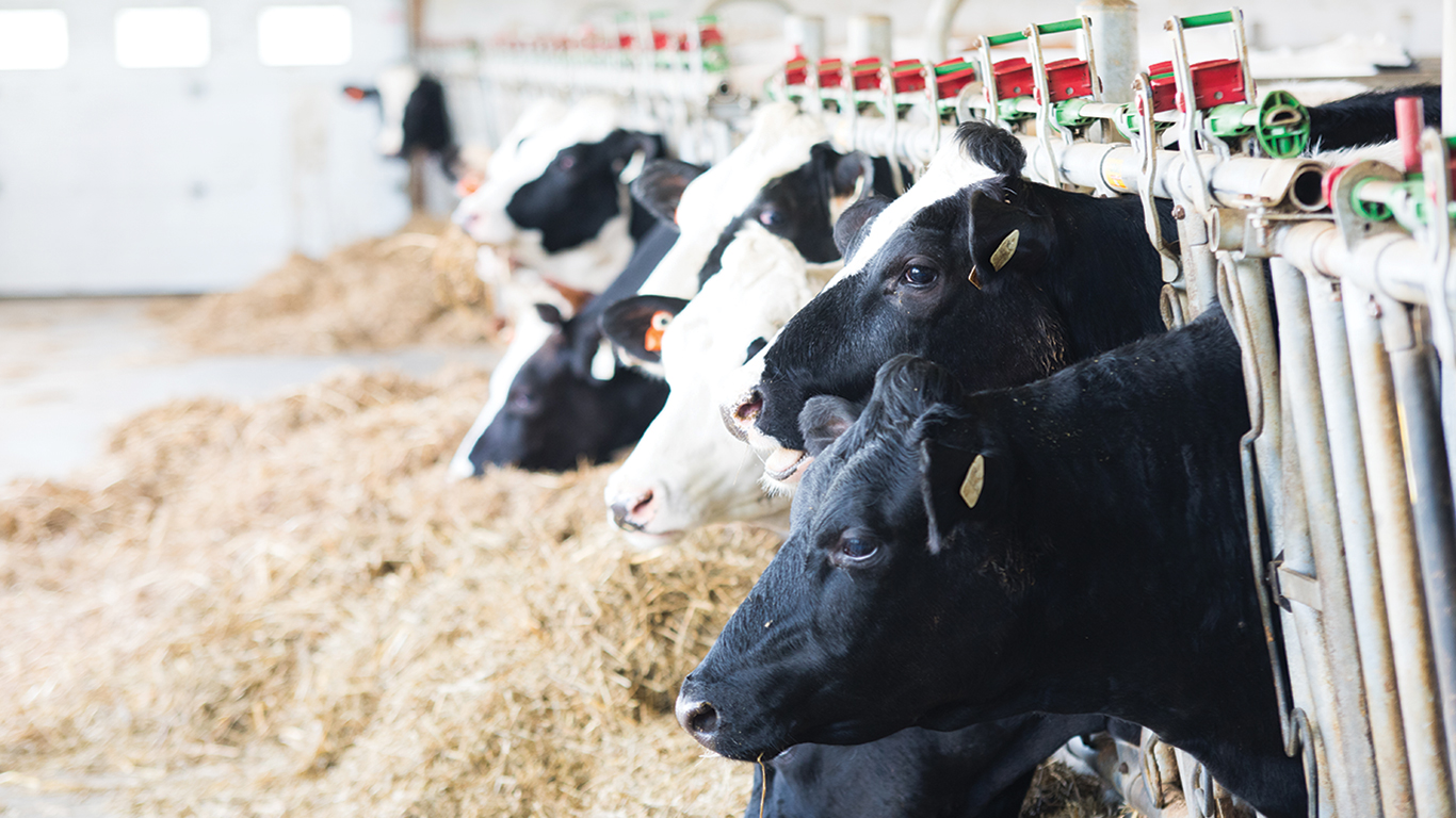 Le fonds québécois Inlandsis veut financer plusieurs projets de 3 à 15 M$, qui permettront de diminuer les émissions de GES dans les fermes et entreprises forestières québécoises. Photo : Archives TCN