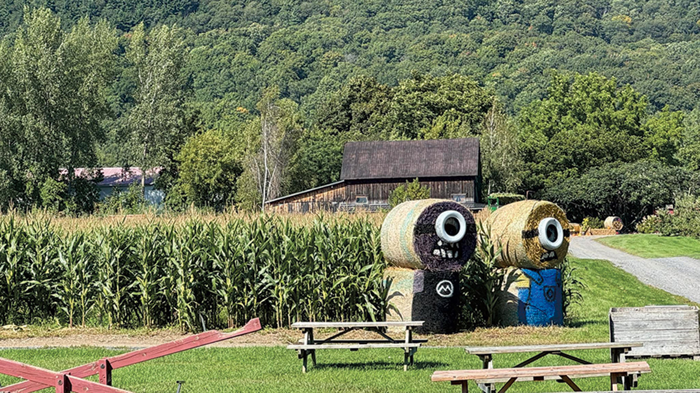 Johannie Maynard et Joakim Larocque avaient décidé, pour les Portes ouvertes de l’Union des producteurs agricoles, d’y aller avec un décor 100 % naturel et de le faire eux-mêmes pour accueillir les visiteurs.