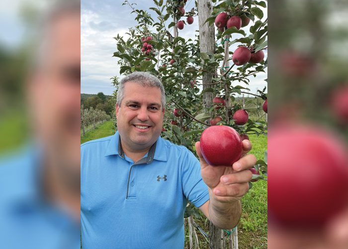 La Maison de la pomme sera l’emballeur exclusif de la pomme Orléans. Son directeur général, Jonathan Rodrigue, précise que le verger de l’entreprise compte 12 000 arbres de cette variété, dont 4 000 en production. Photo : Gracieuseté de Jonathan Rodrigue