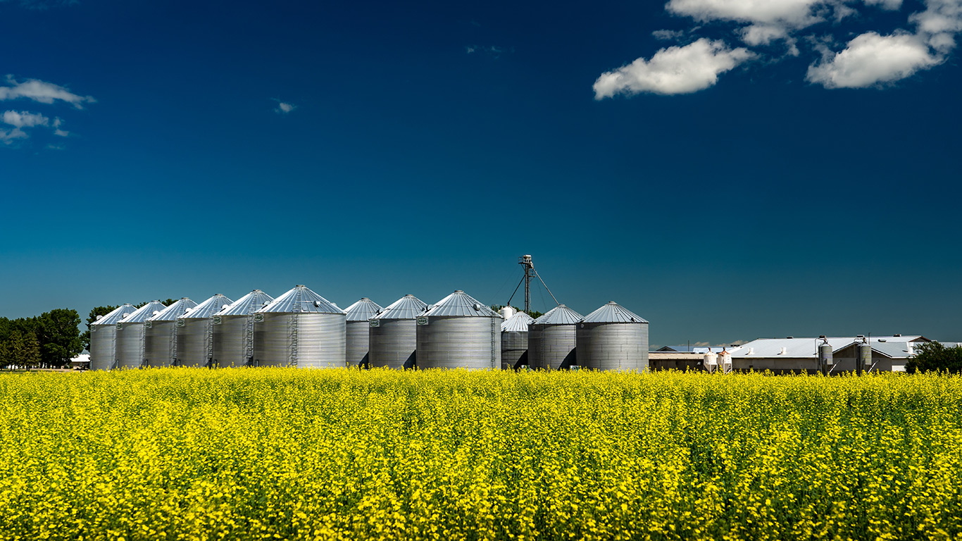 Le Conseil canadien du canola qualifie la Chine de « marché important et précieux pour le canola canadien ». Photo : Shutterstock