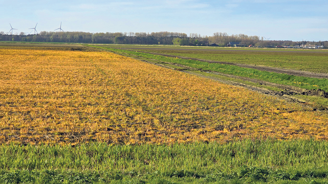 Le glyphosate est de loin le pesticide le plus utilisé en fréquence et en intensité. C’est qu’il est très efficace, flexible, et peu dispendieux. Plus de 800 000 tonnes en seraient répandues chaque année dans le monde. Photo : Shutterstock