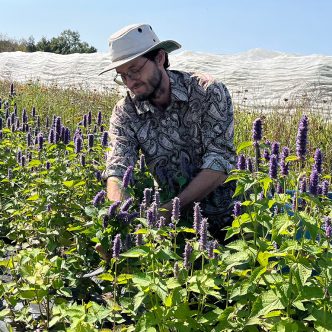 Le producteur maraîcher Vincent Lacharité-Laframboise.