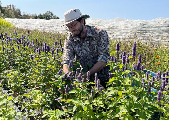 Le producteur maraîcher Vincent Lacharité-Laframboise.