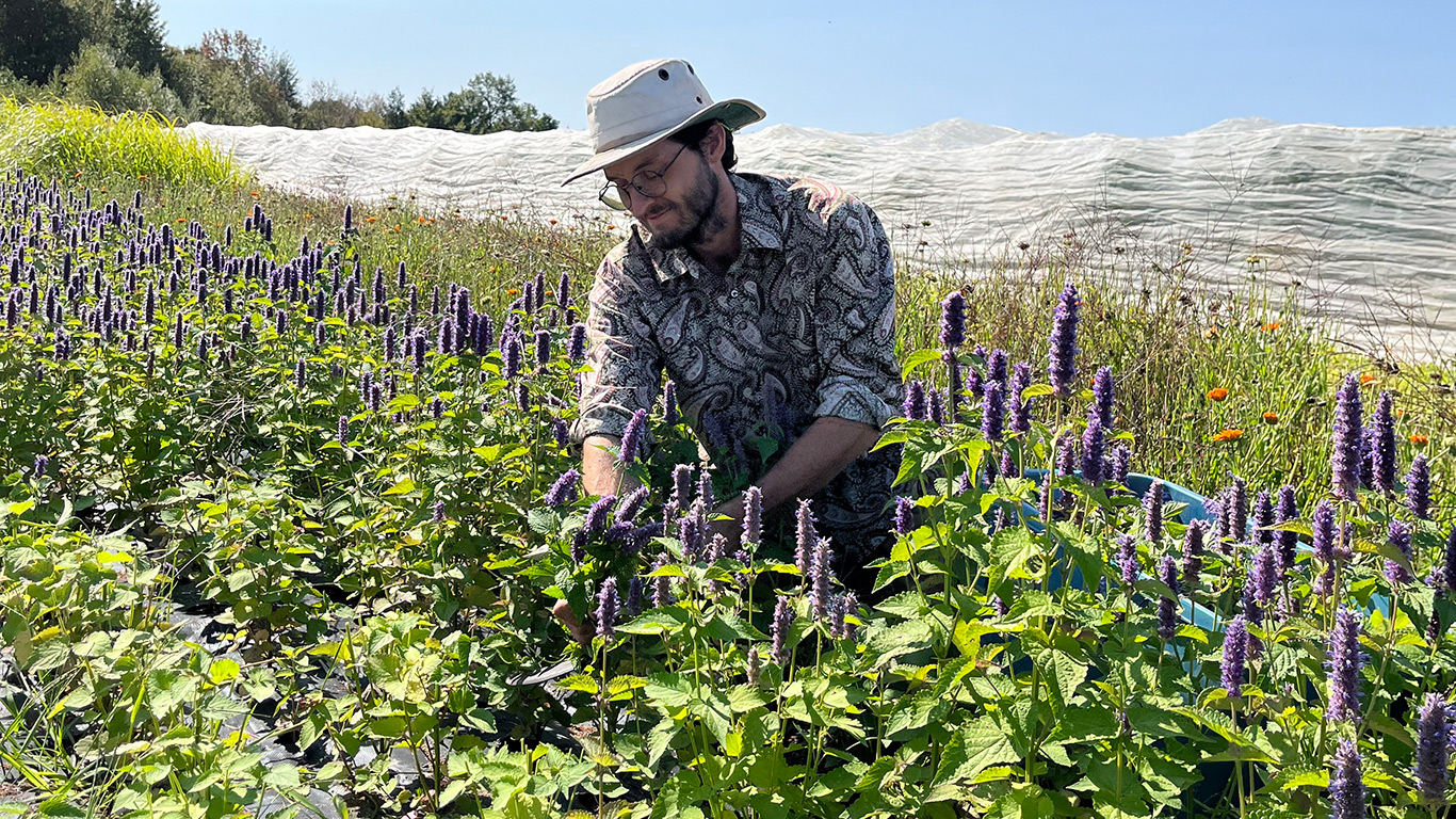 Le producteur maraîcher Vincent Lacharité-Laframboise.