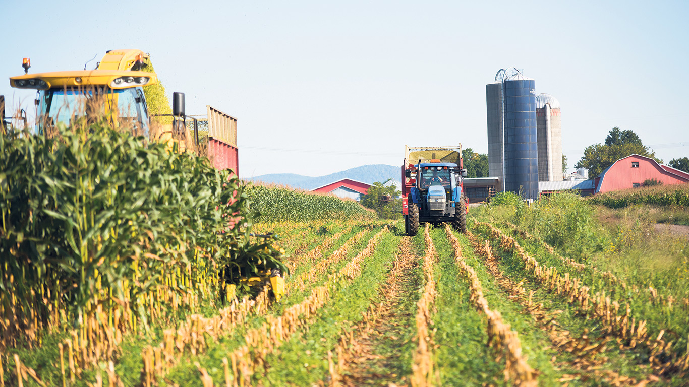 La planification d’une stratégie d’alimentation efficace et la gestion de l’entreposage sont essentielles pour assurer la pérennité d’une exploitation agricole. Photos : Martin Ménard/Archives TCN