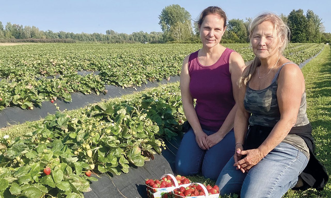 Les sœurs Nathalie et Ginette Auclair ont grandi dans les rangs de fraisiers, à Lavaltrie, dans Lanaudière. Photos : André Laroche