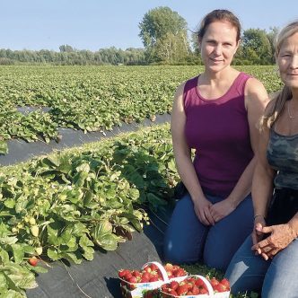 Les sœurs Nathalie et Ginette Auclair ont grandi dans les rangs de fraisiers, à Lavaltrie, dans Lanaudière. Photos : André Laroche