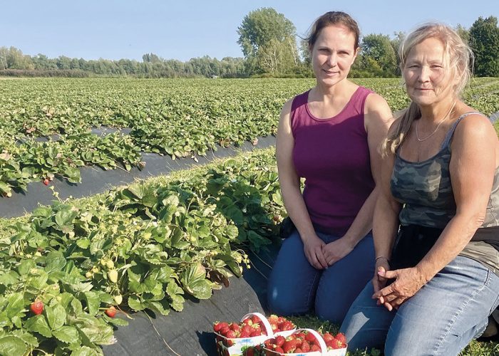 Les sœurs Nathalie et Ginette Auclair ont grandi dans les rangs de fraisiers, à Lavaltrie, dans Lanaudière. Photos : André Laroche