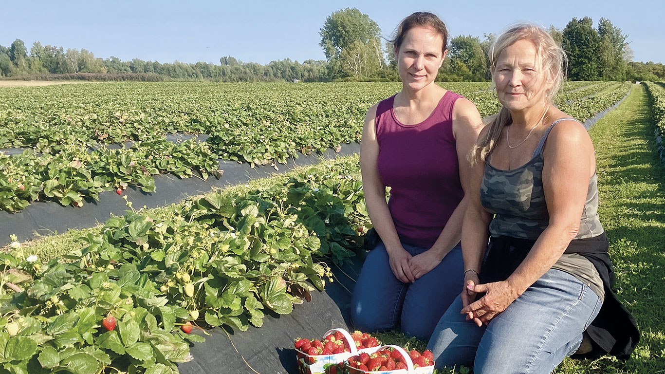 Les sœurs Nathalie et Ginette Auclair ont grandi dans les rangs de fraisiers, à Lavaltrie, dans Lanaudière. Photos : André Laroche