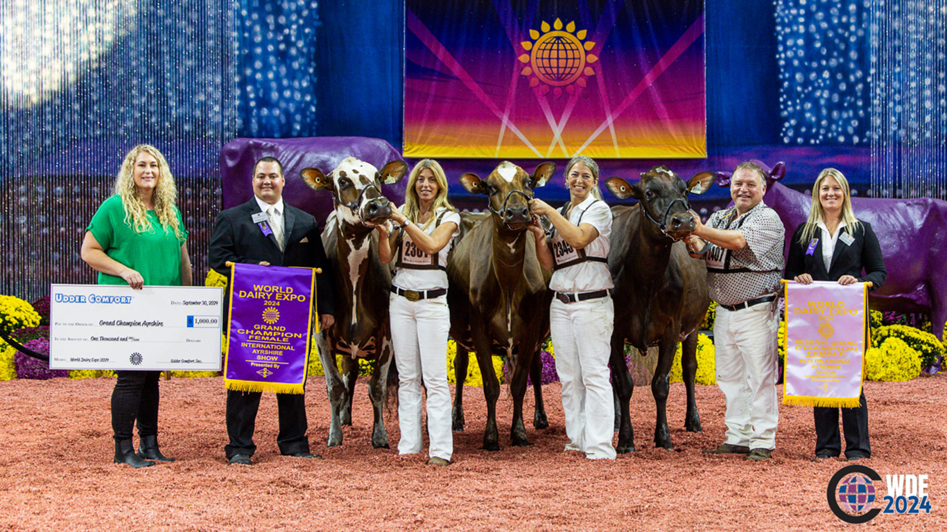 Les vaches des sœurs Bianca et Vicky Foley, de la Ferme Vieux Village, en Estrie, sont respectivement grande championne et grande championne de réserve. La vache Pierre Boulet décroche la mention honorable. Photo : Cowsmopolitan