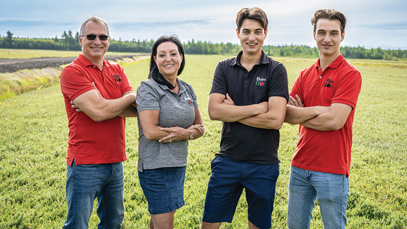 Patrick Bédard, Nancy Goudreau et leurs deux fils, Camil et Gabriel, entrevoient des rendements records de canneberges, en 2024. Photo : Gracieuseté de Canneberges Québec