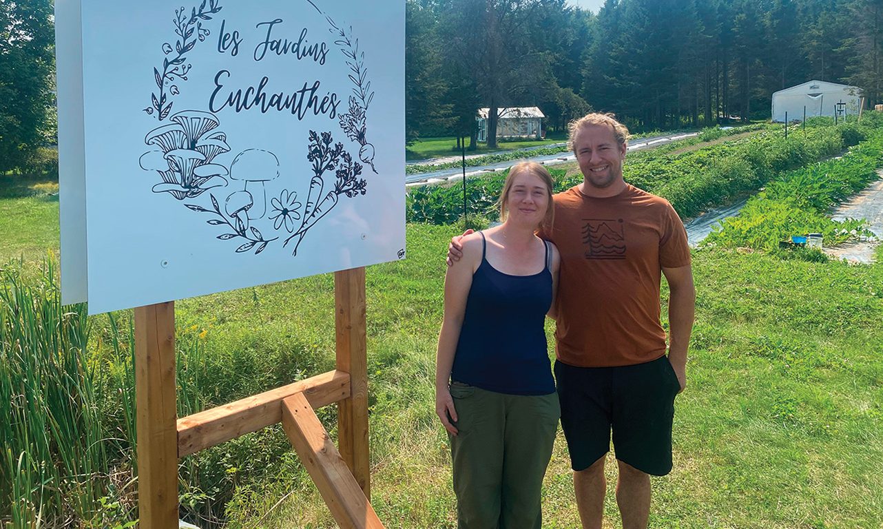 Ariann Pelchat et Jean-Michel Bélanger-L’Allier ont aménagé, cette année, un potager de 0,4 hectare à l’avant du lot de 10 hectares qu’ils ont acquis en 2023 grâce au projet des petites terres de Lorrainville. Le couple a bien d’autres idées de développement pour la suite, dont celle de cultiver des fleurs, des fruits et d’autres plantes aromatiques pour développer des tisanes. Photos : Émilie Parent-Bouchard