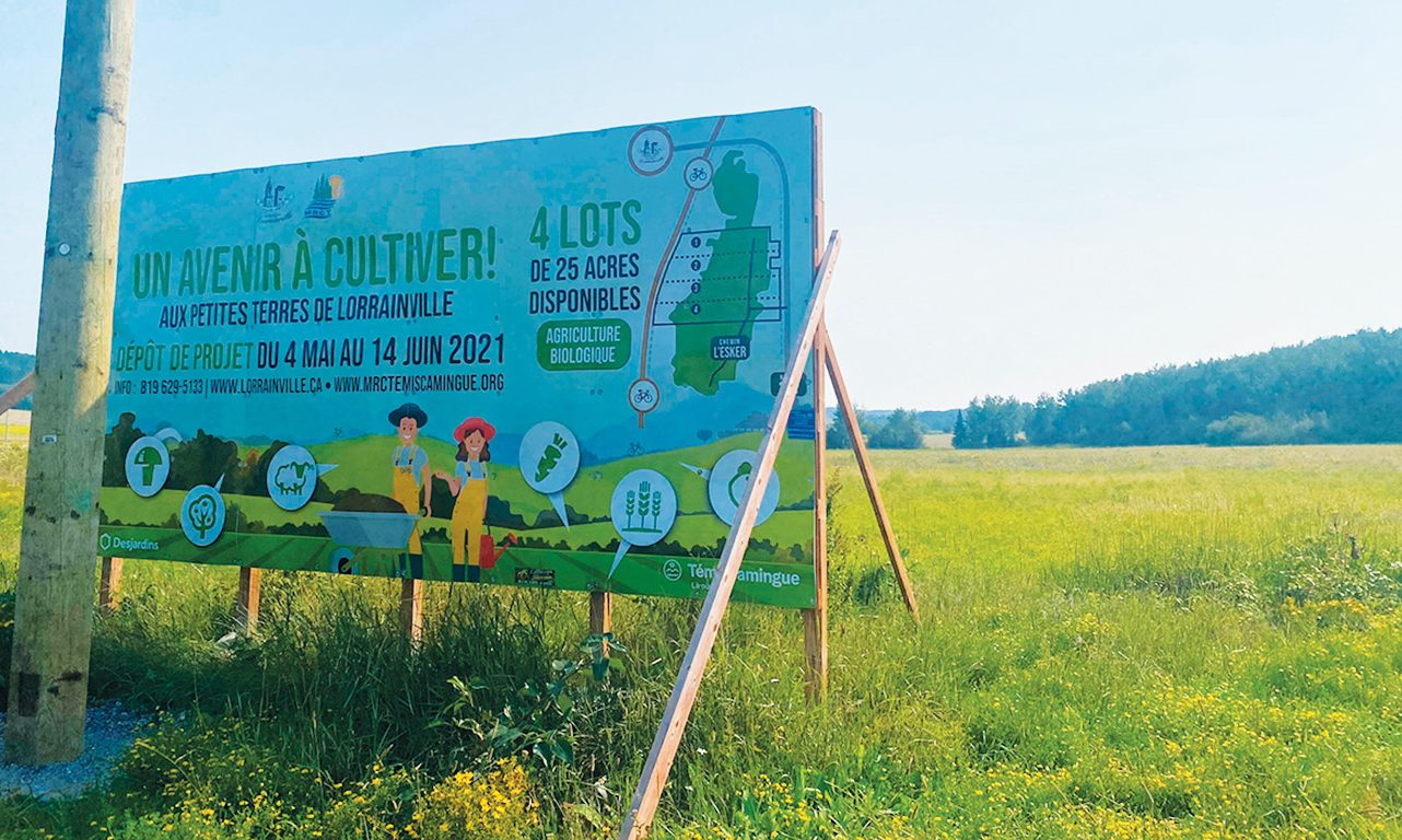 Signe que les petites terres de Lorrainville prennent vie, un poteau électrique avoisine l’affiche promotionnelle du projet depuis que le raccordement au réseau d’Hydro-Québec a été réalisé, l’été dernier. Photo : Émilie Parent-Bouchard