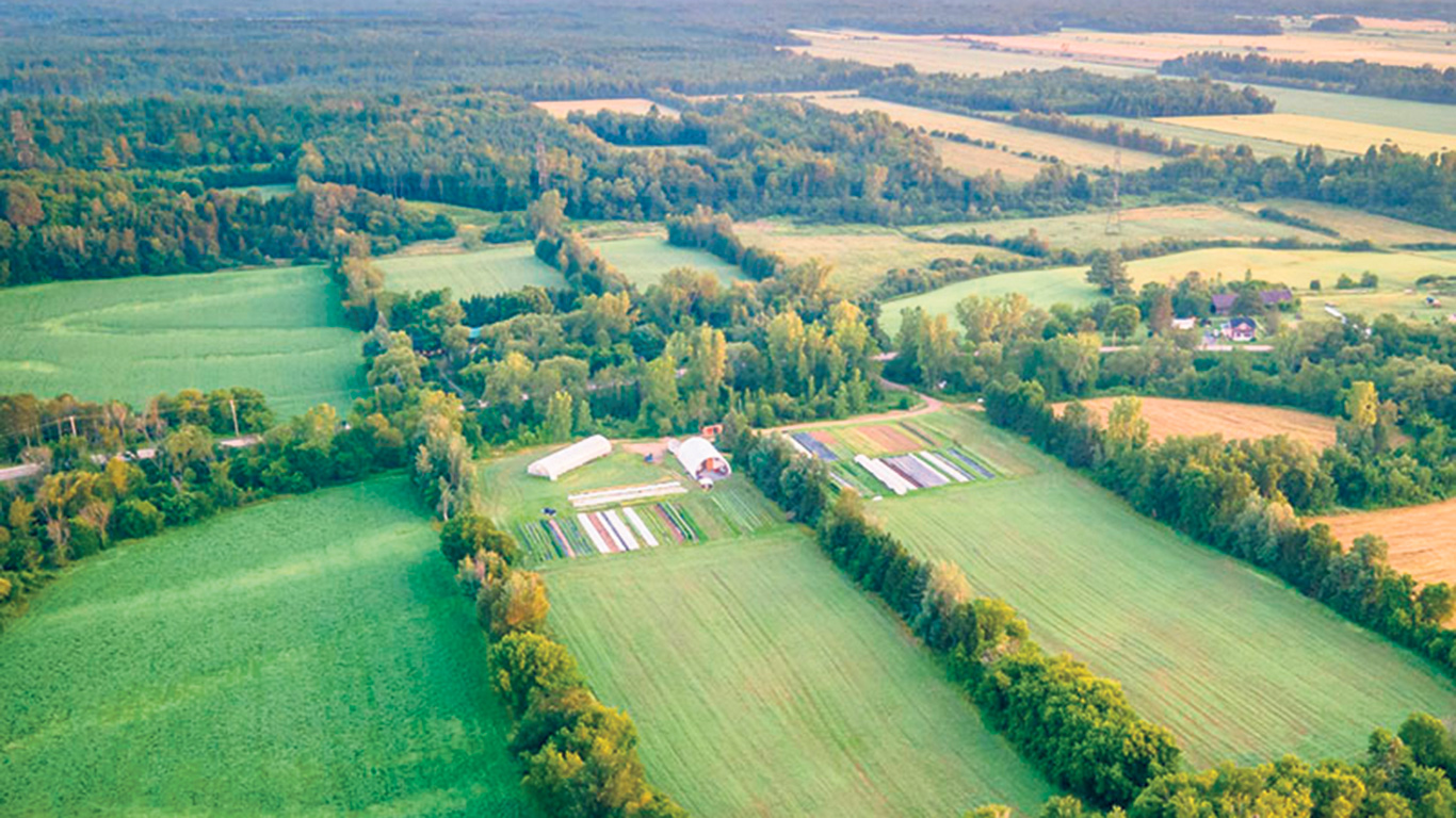 Une des terres de la Fiducie agricole UPA-Fondaction disponible pour location, à Sainte-Anne-de-la-Pérade. Photo : Fiducie agricole UPA-Fondaction