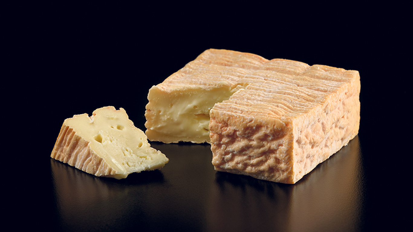 Le Houde le Patriarche, de la Fromagerie Nouvelle France, a été sacré meilleur fromage fin de lait de vache à la Royale de Toronto. Photo : Gracieuseté de la Fromagerie Nouvelle France