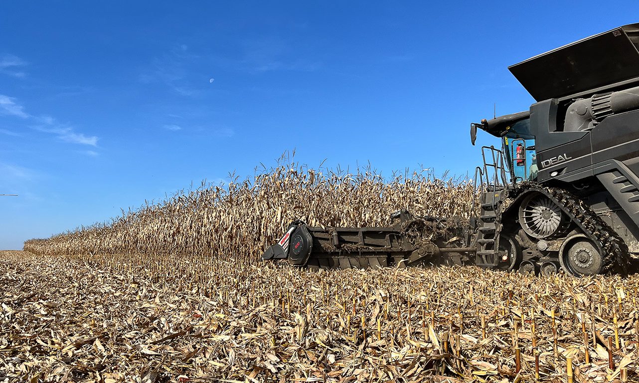 Dans un champ performant, cette moissonneuse-batteuse et sa table 16 rangs peuvent récolter à un rythme de 100 tonnes à l’heure. Photos: Martin Ménard/TCN