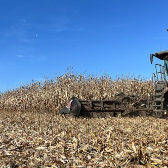 Dans un champ performant, cette moissonneuse-batteuse et sa table 16 rangs peuvent récolter à un rythme de 100 tonnes à l’heure. Photos: Martin Ménard/TCN