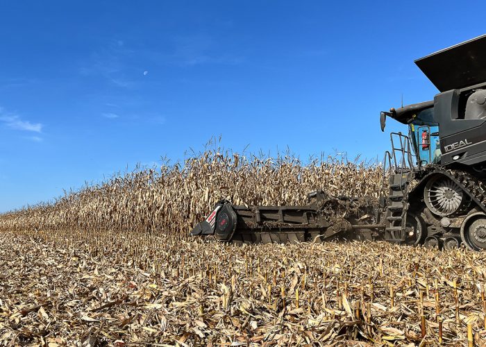 Dans un champ performant, cette moissonneuse-batteuse et sa table 16 rangs peuvent récolter à un rythme de 100 tonnes à l’heure. Photos: Martin Ménard/TCN