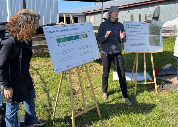 Le 11 octobre, l’agronome Ann-Sophy Côté (au centre) a présenté les projets de recherche des cellules qu’elle coordonne sur l’alimentation des ruminants, la régie des plantes fourragères et la gestion des lisiers. Photos : Myriam Laplante El Haili/TCN