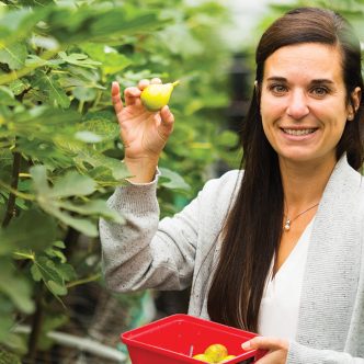 Anne-Marie Proulx et sa famille ont de grandes ambitions pour leurs cultures de figues, dont la rentabilité mise sur la vente de fruits frais, les produits de transformation et l’agrotourisme à leur propriété de 95 hectares accueillant deux minicentrales hydroélectriques. Photos : Martin Ménard/TCN