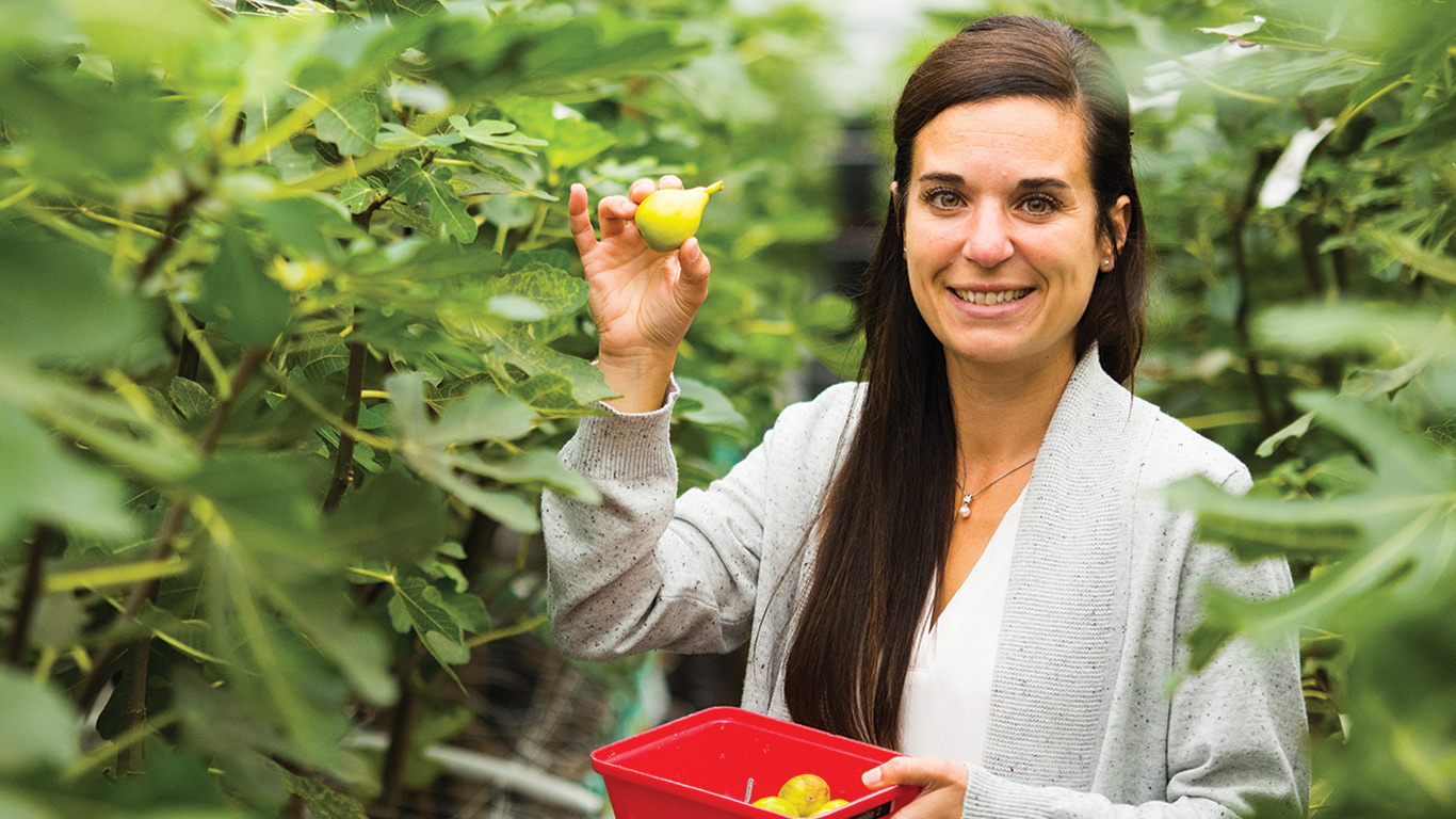 Anne-Marie Proulx et sa famille ont de grandes ambitions pour leurs cultures de figues, dont la rentabilité mise sur la vente de fruits frais, les produits de transformation et l’agrotourisme à leur propriété de 95 hectares accueillant deux minicentrales hydroélectriques. Photos : Martin Ménard/TCN