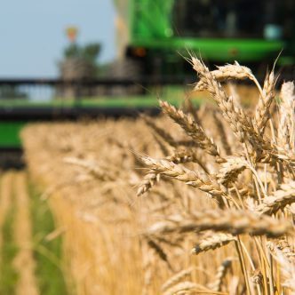 Le Canada s'est également classé troisième pour la production de blé l'année dernière malgré la sécheresse. Photo : Martin Ménard/Archives TCN