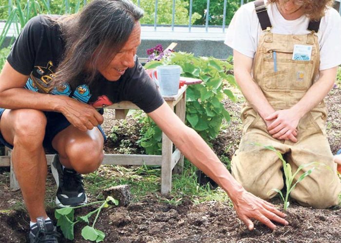 Les jardins collectifs du Santropol Roulant accueillent différentes clientèles en transition de vie, pour qui l’agriculture permet notamment de briser l’isolement. Photo : Gracieuseté du Santropol Roulant