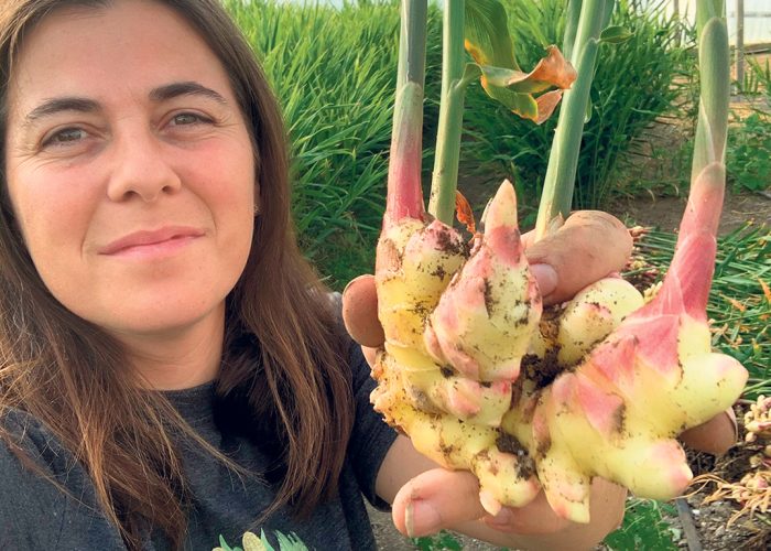 Sylviane Tardif aime son métier d’agricultrice. Sa ferme maraîchère est rentable, mais ce qui lui fait mal, c’est de se comparer à la population en général, qu’elle nourrit et qui gagne beaucoup plus d’argent que ses employés et elle. Photo : Gracieuseté de la Ferme des 3 Samson