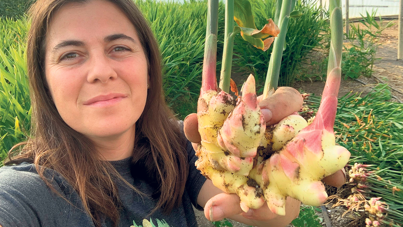 Sylviane Tardif aime son métier d’agricultrice. Sa ferme maraîchère est rentable, mais ce qui lui fait mal, c’est de se comparer à la population en général, qu’elle nourrit et qui gagne beaucoup plus d’argent que ses employés et elle. Photo : Gracieuseté de la Ferme des 3 Samson