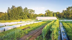 Le tremplin agricole Les Terres du Possible, dans la MRC des Chenaux, un modèle qui favorise la collaboration entre agriculteurs. Photo : Page Facebook des Terres du Possible