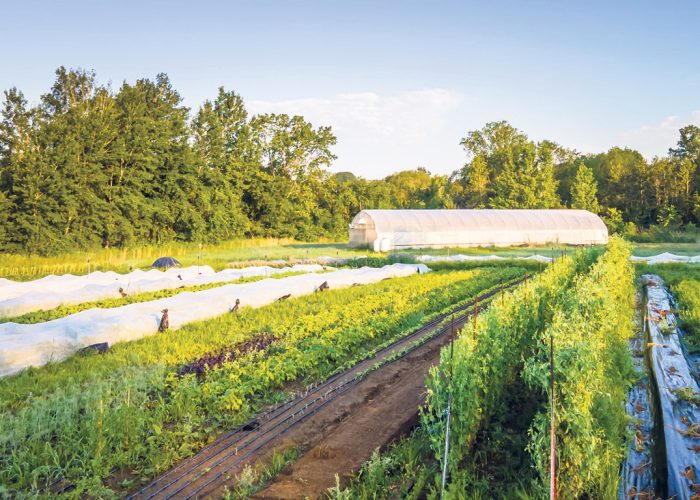 Le tremplin agricole Les Terres du Possible, dans la MRC des Chenaux, un modèle qui favorise la collaboration entre agriculteurs. Photo : Page Facebook des Terres du Possible