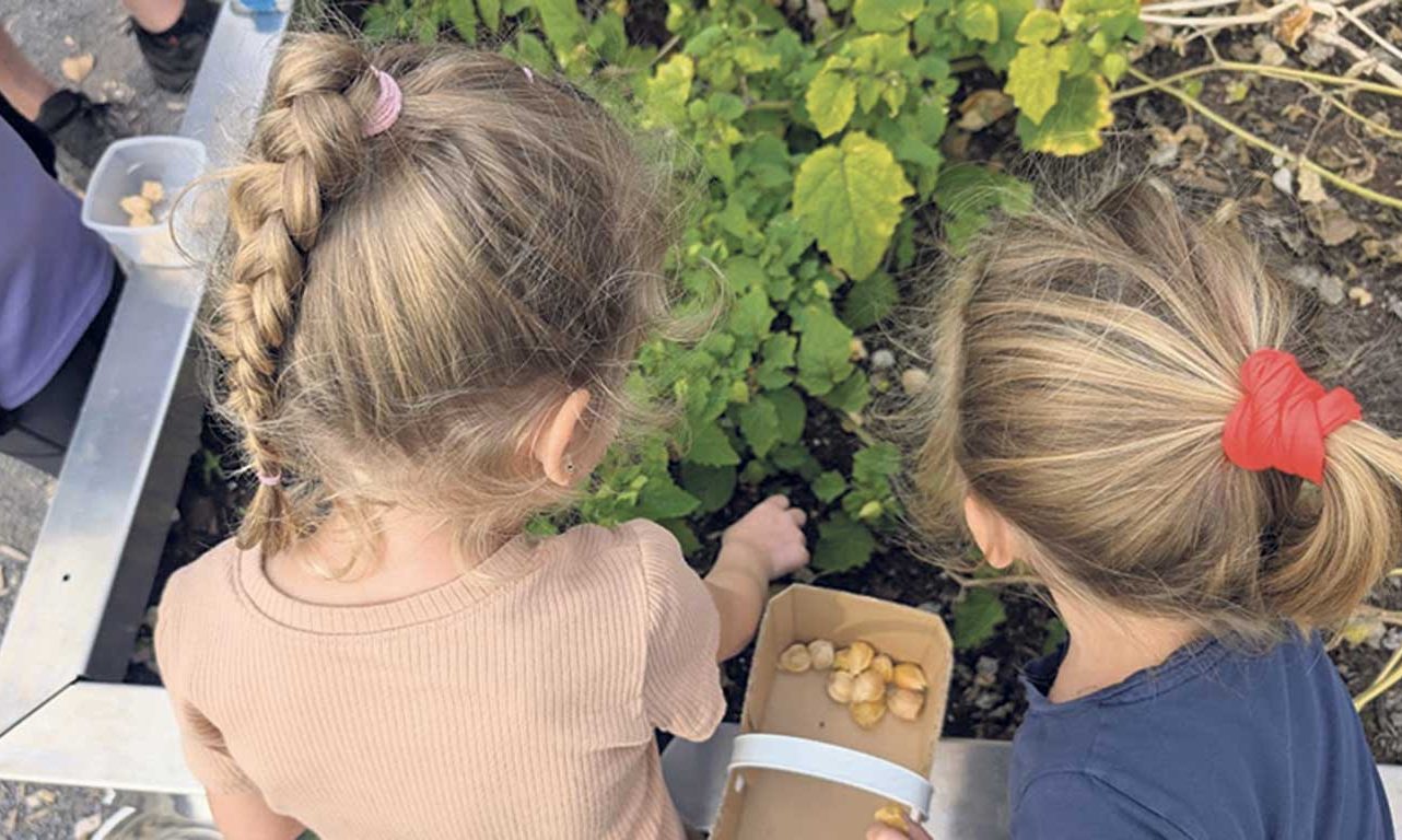 Des espaces de culture en bacs sont entre autres aménagés sur le site des écoles participantes. À la rentrée, en septembre, les enfants récoltent ce que la cohorte précédente a semé à la fin de l’année scolaire. Photo : Gracieuseté d’AgrÉcoles