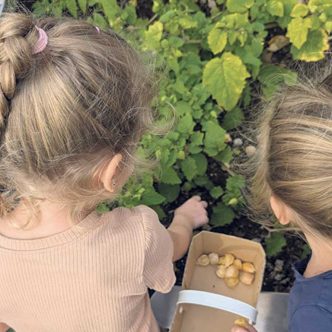 Des espaces de culture en bacs sont entre autres aménagés sur le site des écoles participantes. À la rentrée, en septembre, les enfants récoltent ce que la cohorte précédente a semé à la fin de l’année scolaire. Photo : Gracieuseté d’AgrÉcoles