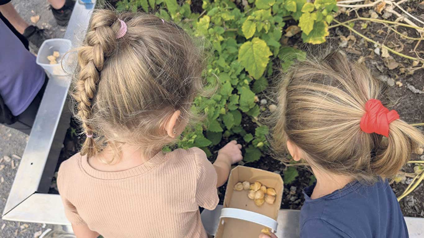 Des espaces de culture en bacs sont entre autres aménagés sur le site des écoles participantes. À la rentrée, en septembre, les enfants récoltent ce que la cohorte précédente a semé à la fin de l’année scolaire. Photo : Gracieuseté d’AgrÉcoles