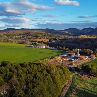 La chercheuse Sarah Roy-Milliard mentionne qu’environ 80 % de la perte de terres agricoles est due à l’enfrichement et le reste est attribuable à l’artificialisation. Photo : Shutterstock