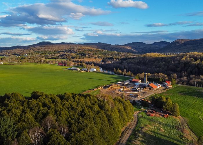 La chercheuse Sarah Roy-Milliard mentionne qu’environ 80 % de la perte de terres agricoles est due à l’enfrichement et le reste est attribuable à l’artificialisation. Photo : Shutterstock