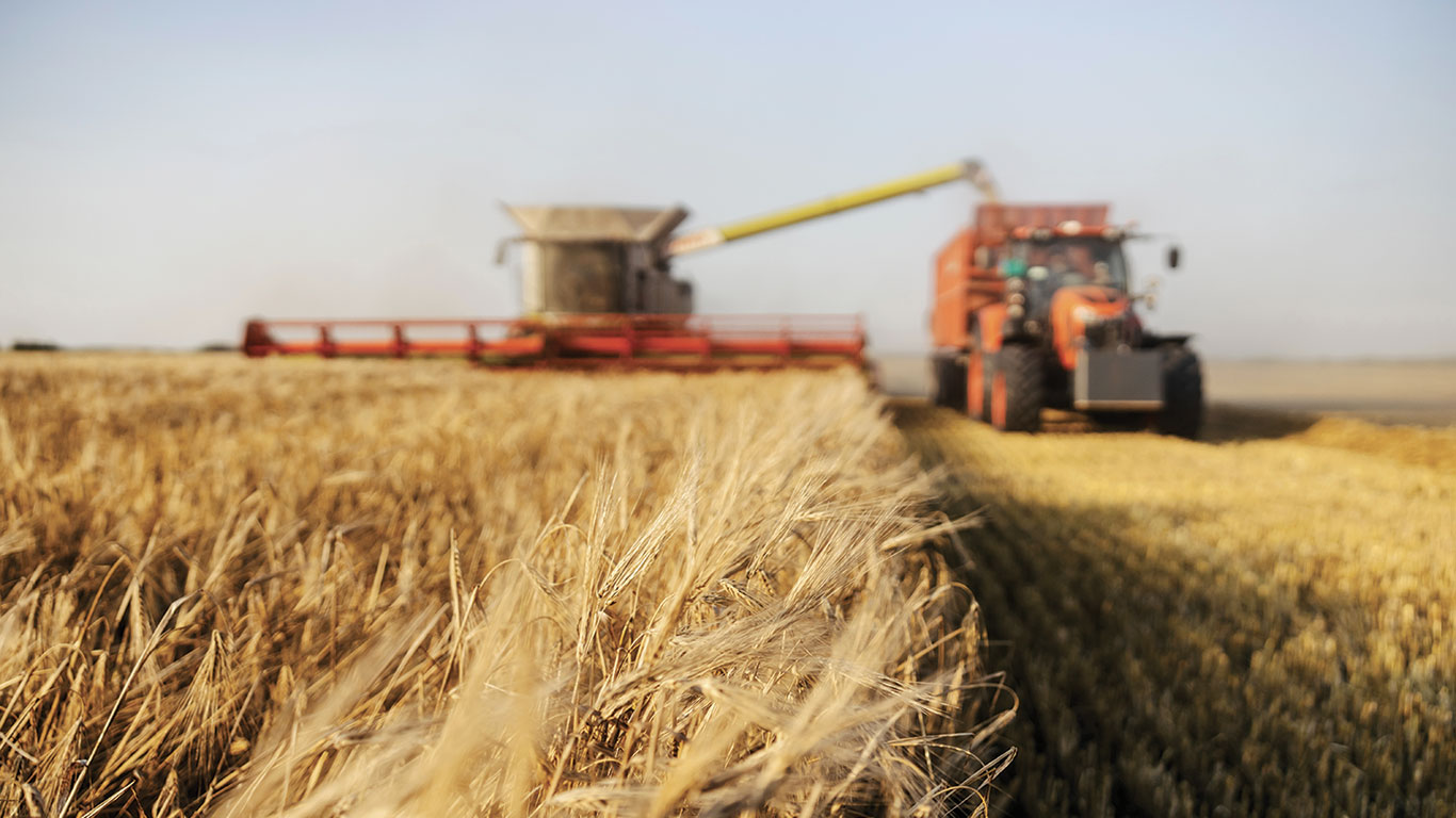 Le portrait des récoltes qui se précise en Amérique du Nord est celui de productions abondantes, voire records, pour les trois principaux grains, et cela aussi bien aux États-Unis qu’au Canada. Photo : Shutterstock