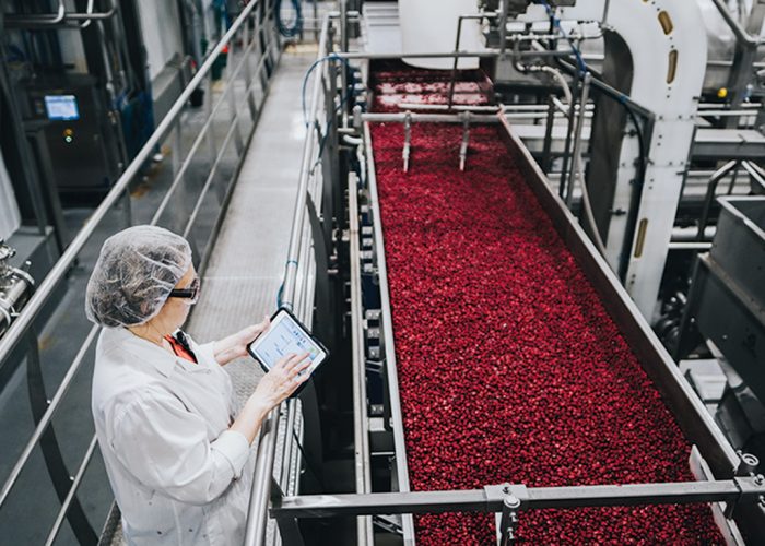 Fruit d’Or transforme la canneberge congelée en une multitude de produits à valeur ajoutée consommés directement, ou intégrés à des produits santé et beauté exportés à travers le monde.