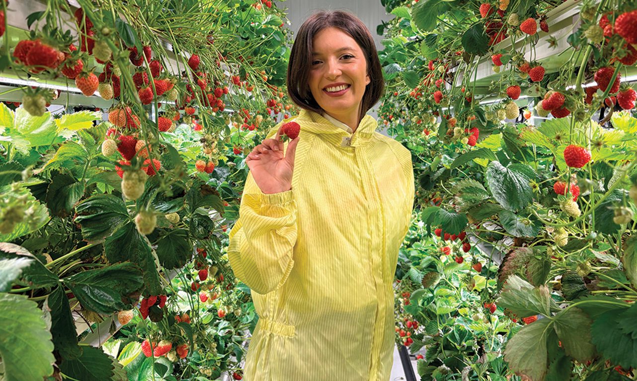 La ferme verticale qu’Ophelia Sarakinis a fondée produit 15 000 plants de fraises à la fois, en hydroponie, sur six étages. Photos : Caroline Morneau/TCN