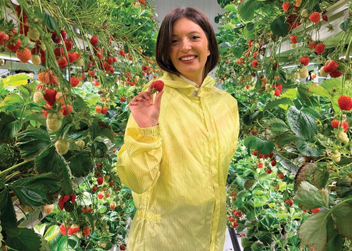 La ferme verticale qu’Ophelia Sarakinis a fondée produit 15 000 plants de fraises à la fois, en hydroponie, sur six étages. Photos : Caroline Morneau/TCN